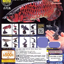 【扭蛋屋】生物大圖鑑-鯨魚《全4款》 歷史價格詳細信息