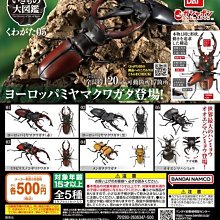 【扭蛋屋】生物大圖鑑-鯨魚《全4款》 歷史價格詳細信息