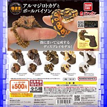 日版 正版 BANDAI NAMCO 小魔女DOREMI服裝吊飾P2 全6款 小魔女 DOREMI 歷史價格詳細信息