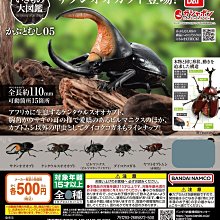 【扭蛋屋】角落生物發光房間組《全6款》 歷史價格詳細信息