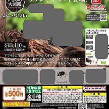 【扭蛋屋】角落生物發光房間組《全6款》 歷史價格詳細信息