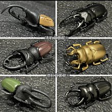 獨角仙模型 鍬形蟲 甲蟲模型 HJ278-3(有2組)/一組入(共一套9隻)(促180) 牛角蟲 仿真昆蟲 雙叉犀金龜 歷史價格詳細信息
