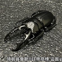 獨角仙模型 鍬形蟲 甲蟲模型 HJ278-3(有2組)/一組入(共一套9隻)(促180) 牛角蟲 仿真昆蟲 雙叉犀金龜 歷史價格詳細信息