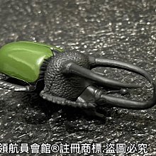 領航大學英語-綜合教程.2.學生用書 陳曉茹 李玉坤 9787544676014 【台灣高等教育出版社】 歷史價格詳細信息