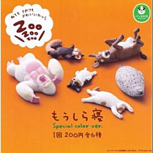 6種瓦數【UV殺菌燈】殺菌燈 UV燈 紫外線殺菌 水族殺菌燈 綠水 除藻 滅菌 淨水 消毒 遮光罩 擋光板 歷史價格詳細信息