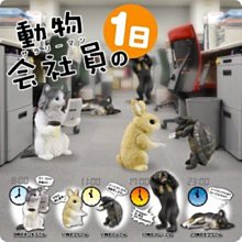 正版 轉蛋扭蛋 七龍珠超 vs DB 17 龍珠 盒玩 達爾 神 孫悟飯 布羅利 GT 孫悟空 孫悟天公仔 HG 全4款 歷史價格詳細信息