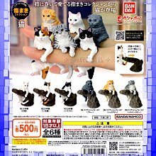 日本Bandai貓咪大戰爭公仔吊飾入浴球(限量)(BD871941) 162元 歷史價格詳細信息