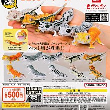 【扭蛋屋】生物大圖鑑-鯨魚《全4款》 歷史價格詳細信息