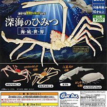 【扭蛋屋】動物好友木馬俱樂部《全6款》 歷史價格詳細信息