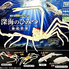 【奇蹟@蛋】 海洋堂(轉蛋)錢包青蛙P2 全6種 整套販售  NO:6056 歷史價格詳細信息