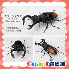 BANDAI 變形蛋 蛋黃哥培根毯子 特價 BD08686 歷史價格詳細信息