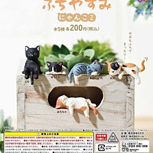 【扭蛋屋】貓咪收集桌上小物4 《全7款》 歷史價格詳細信息