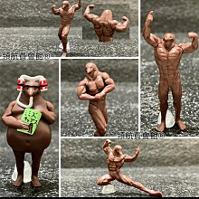 【領航員會館】整套日本正版KOROKORO甲蟲王者20週年昆蟲公仔 扭蛋 模型 玩具 動物 標本 鍬形蟲 獨角仙 秋型蟲 歷史價格詳細信息