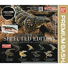 全套4款【日本正版】精靈寶可夢 倚肩公仔 P6 扭蛋 轉蛋 倚肩睡眠公仔 神奇寶貝 078842 歷史價格詳細信息