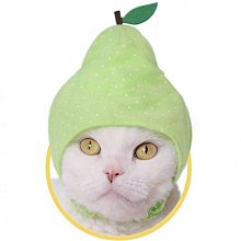 奇譚俱樂部 NTC生物圖鑒 海蜇 水母掛件吊飾 深海生物 扭蛋半米潮殼直購 歷史價格詳細信息