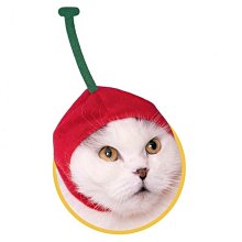 奇譚俱樂部 NTC生物圖鑒 海蜇 水母掛件吊飾 深海生物 扭蛋半米潮殼直購 歷史價格詳細信息