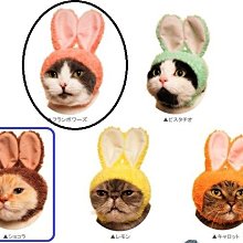 奇譚俱樂部 NTC生物圖鑒 海蜇 水母掛件吊飾 深海生物 扭蛋半米潮殼直購 歷史價格詳細信息