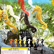 【奇蹟@蛋】 海洋堂(轉蛋)錢包青蛙P2 全6種 整套販售  NO:6056 歷史價格詳細信息