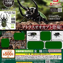 【扭蛋屋】角落生物發光房間組《全6款》 歷史價格詳細信息
