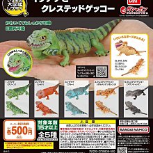 【扭蛋屋】生物大圖鑑-鯨魚《全4款》 歷史價格詳細信息