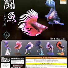 【奇蹟@蛋】日版 Kenelephant (轉蛋)日本名店刨冰模型P2 全4種整套販售  NO:7073 歷史價格詳細信息