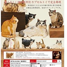 木雕橘貓柴犬創意可愛擺件辦公桌面裝飾品汽車中控臺擺件實木禮物 歷史價格詳細信息