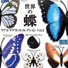 日版 2.5次元的誘惑 第二彈 景品娃 努努 娃娃 天乃理理沙 橘美花莉 乃愛 喜咲亞理亞 非現貨 可直下 歷史價格詳細信息