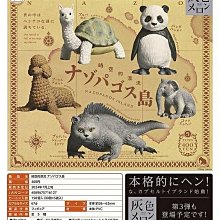 空腹奇蹟【暢銷新版】：現代營養學不願透露的真相，奇效斷食健康法，啟動身體最強自癒力！ 歷史價格詳細信息