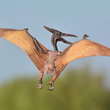 仿真翼龍雕塑室外防水恐龍模型製作大型機器感應動態機器恐龍公司 歷史價格詳細信息