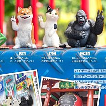 【BTF】HELLOKITTY正版凱蒂貓街角物語便利店超市房子兒童女孩過家家玩具 RHDO 歷史價格詳細信息