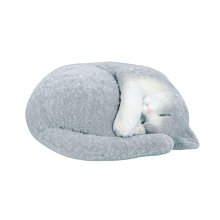 台灣現貨TAKARA TOMY - 戰鬥陀螺X BXG-01 烈焰飛鳳 歷史價格詳細信息