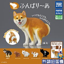 全新現貨 扭蛋 T-ARTS 休眠動物園 P5 全6種 轉蛋 公仔 睡覺 熊貓 貓熊 樹懶 無尾熊 猴子 貓 狗 歷史價格詳細信息