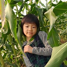 [ 廣緣 ] (89) A貨  緬甸玉手鐲  " 手圍18.5 # "  **可議價** 歷史價格詳細信息