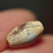 兩千年瑪瑙竹節管珠 歷史價格詳細信息