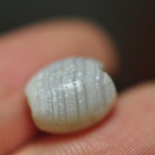 大孔天然高品紅砂朱砂卡通版十二生肖手串女士寶寶手鏈本命年6 歷史價格詳細信息