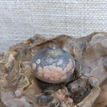 戰國紅陶蜻蜓眼 一對最大長度：1.9CM 直徑：1.85CM35375037 歷史價格詳細信息