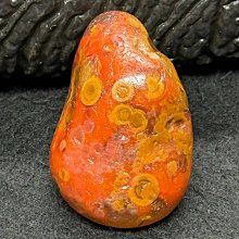 黃皮沖日雜感干枯玫瑰色 holdlive三色腮紅下午茶元氣自然 歷史價格詳細信息
