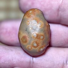 【筋脈疏通】舒壓木質點穴棒-3入組(便攜 養生 點穴棒 保養 筋絡按摩 美容筆 刮痧棒 眼臉按摩) 歷史價格詳細信息