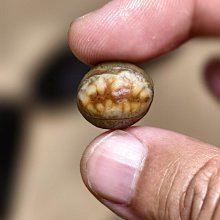 【筋脈疏通】舒壓木質點穴棒-3入組(便攜 養生 點穴棒 保養 筋絡按摩 美容筆 刮痧棒 眼臉按摩) 歷史價格詳細信息