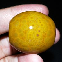 大尺寸（32吋以上）螢幕專用，樂華T.VST59S.21雙排電視板 （附台灣專用螺旋頭）雙HDMIL+ USB播放 歷史價格詳細信息