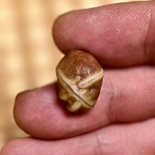 【筋脈疏通】舒壓木質點穴棒-3入組(便攜 養生 點穴棒 保養 筋絡按摩 美容筆 刮痧棒 眼臉按摩) 歷史價格詳細信息