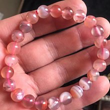 找找朋友在哪裡？「觸感遊戲書」[88折] TAAZE讀冊生活 歷史價格詳細信息