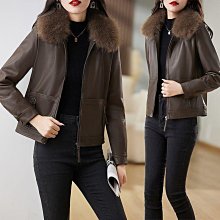 真皮外套女2024秋冬大尺碼新皮衣女中長女裝韓版顯瘦皮衣風衣潮 歷史價格詳細信息