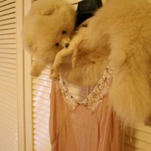 貂毛皮草手提包小眾設計高級感毛毛包包女晚宴真毛手拎包秋冬新款 歷史價格詳細信息