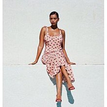 上新粉 日本前原 米穀粉 500g 分裝 ＊水蘋果＊ N-161 歷史價格詳細信息