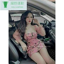 野生~越南惠安沉香【周錦香】薰香 煎香 香道 會安 品香 歷史價格詳細信息