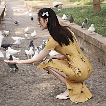 女 旗袍 洋裝 改良旗袍 年輕款少女 秋 冬 新款日常可穿矮個子短版長袖 JyF0~微微服飾 歷史價格詳細信息