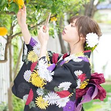 YUKATA日本正裝訪問和服浴衣四季滌綸料紅椿 歷史價格詳細信息
