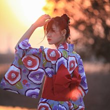 日本傳統正裝和服雙層蕾絲小紋著物四葉草日系現代復古甜美服飾 歷史價格詳細信息