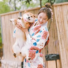 全新影片《浴血任務》DVD 席維斯史特龍 傑森史塔森 李連杰 杜夫朗格 艾力克羅勃茲 歷史價格詳細信息